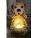 �\�[���[���C�g �Q�Z�b�g �� �h�b�O ��񂿂�� DOG �E�F���J�����C�g �K�[�f�� ���C�g  �\�[���[�[�d �K�[�f�j���O ���֓� ���� ���O ���o�}�� �������� �֘A�摜1