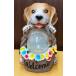�\�[���[���C�g �Q�Z�b�g �� �h�b�O ��񂿂�� DOG �E�F���J�����C�g �K�[�f�� ���C�g  �\�[���[�[�d �K�[�f�j���O ���֓� ���� ���O ���o�}�� �������� �֘A�摜2
