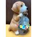 �\�[���[���C�g �Q�Z�b�g �� �h�b�O ��񂿂�� DOG �E�F���J�����C�g �K�[�f�� ���C�g  �\�[���[�[�d �K�[�f�j���O ���֓� ���� ���O ���o�}�� �������� �֘A�摜4