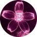 LED �\�[���[���C�g �C���~�l�[�V���� �T�N�� 200�� ������ �� ����W��ޓ_���p�^�[�� ���Ԍ� �d�� ���� ���O OK USB�[�d �K�[�f�����C�g �������� �֘A�摜2