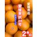 [ предварительный заказ товар ] Ehime ..28 номер (.. какой )2 kilo (. для бытового использования )M~3L размер 