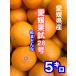[ предварительный заказ товар ] Ehime ..28 номер (.. какой )5 kilo (. для бытового использования )M~3L размер 