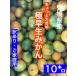  Ehime префектура Hachiman . производство " немного довольно большой " высшее . сырой мандарин 10 kilo S~2L размер ( размер нет выбор другой ) есть перевод *. для бытового использования вода минут ..* витамин .. бесплатная доставка 