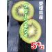 Ehime префектура производство зеленый киви 5 kilo ( разделение слово )
