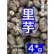  Ehime префектура производство таро (.. прекрасный человек )4 kilo 