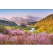  составная картинка 1000 деталь весна . месяц гора . большой гора Sakura Yamagata Япония пейзаж Apple one 1000-910