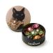 CACAOCAT жестяная банка 5 штук FAVORITE