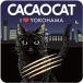 DADACA CACAOCAT жестяная банка I Love YOKOHAMA NIGHT