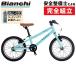 bi Anne ki2022 year of model PIRATA 16( pillar ta16) Bianchi