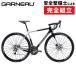 gano-2022 год модели GENERAL ROAD PERFORMANCE(jenelaru load Performance ) GARNEAU
