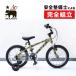  морской 2021 год модели DONKY JR 16 LIMITED( Donkey Junior 16 ограниченный ) ограничение цвет MARIN