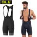 areGT2.0 BIBSHORTS (GT 2.0 bib шорты )TITANIUM ale бесплатная доставка 