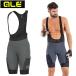 areSTONES CARGO BIBSHORTS ( Stone z cargo bib шорты )GREY ale бесплатная доставка 