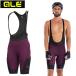 areSTONES CARGO BIBSHORTS ( Stone z cargo bib шорты )PRUNE ale бесплатная доставка 