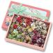 ���������[�� ���[�t�������[ �J���[�{�b�N�X 50�� ���Ԍ��� �M�t�g Leaf memory Color Box