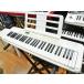 [ превосходный товар ] CASIO LK-325 [QM796][ Kobe магазин наличие ]