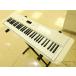 [ прекрасный товар ] CASIO LK-520 [RM565][ Kobe магазин наличие ]