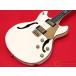 [ прекрасный товар ] SCHECTER WAYNE HUSSEY CORSAIR-12 IVY [ возвращенный товар OK][SMW37][. раз . магазин наличие ]