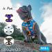 �� �n�[�l�X ���^�� ���^�� ���p �n�[�l�X ������� ���� ��v �\�t�g �x�X�g�^�C�v M L Is Pet #IP05ML �֘A�摜1