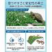���� ���� �����p �T �J�� ���� �M�ы� ঒��� �y�b�g �z�� ������ �����ڂ��� �x�e �g�J�Q �J�����I�� �� �� �l�H�� �Ő� �V�F���^�[ �B��� �A�N�A���E�� ���n �֘A�摜2