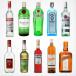[ простой коктейль введение комплект ] Spirits ликер 10 вида комплект каждый 100ml [ анимация коктейль рецепт имеется ].. сравнение дистанционный ..