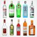 [ easy cocktail introduction set ] Spirits liqueur 10 kind set each 100ml [ animation cocktail recipe attaching ].. comparing remote ..