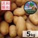  potato Hokkaido Tokachi production me-k in R5 year production 5kg M/ Special M/L/2L/3L mixing free shipping 