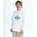 (11 день. бонус магазин +5%)OUTLET Quiksilver Quick Silver TYPE LINE LT футболка футболка длинный рукав long T длинный рукав 