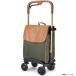 E5293YO *0710_3 вмятина [ outlet ] покупка Cart Carry покупки Cart Care-Parents CP-F00KG приспособление для ходьбы не использовался 