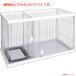 E6042YO *0620[ outlet ]do клей m Circle petioW24759 собака туалет. воспитание . возможно не использовался 