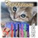  cat harness lead safety stylish cat for walk . cat super-discount red blue black pink green purple 