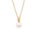 MIKIMOTO �~�L���g �l�b�N���X �y���_���g �V�i�d�グ�� K18YG �p�[�� �_�C�������h PP-20601BK �A�R���^�� �W���G���[ A�����N ���f�B�[�X ���� ���i