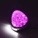LED�T�C�h�}�[�J�[�����v 24V �g���b�N�p �H���� �N���A�����Y LED�}�[�J�[ �_�E�����C�g �i�s���N 2�Z�b�g�j