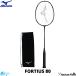  бадминтон ракетка Mizuno MIZUNO Forte . незначительный 80 FORTIUS80 73JTB180 ракетка с футляром твердый hita- предназначенный Япония бадминтон ассоциация сертификация соответствие требованиям товар 