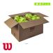  Wilson теннис мяч toliniti Club чай мяч TRINITI CLUB TBALL WR8201501