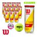  Wilson теннис мяч Champion sip extra Duty CHAMPIONSHIP EXTRA DUTY 3 лампочка входить ×12 жестяная банка WRT100101