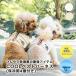 [ массовая закупка ] собака Harness сетка latika охлаждающий жилет Harness жесткий ta материалы S-LL размер охлаждающие средства имеется .... простой оборудован почтовая доставка возможно 