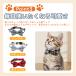 �L ��� ���{�� ���S �� �X�g���X�t���[ �y�b�g ���킢�� �J���t�� �Z�[�t�e�B �o�b�N�� �������� �\ �l�R �q�L�p �֘A�摜3