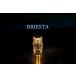 NUTS OUTDOOR BRIESTA/ желтохвост e старт ( прозрачный ) * соответствует item : гол Zero микро flash для 
