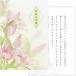 .. return greeting shape card 5 sheets full middle .. four 10 9 day funeral .. shape (KG202-5..)