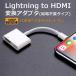 Switch �h�b�N HDMI �ϊ��A�_�v�^ iPhone TYPE-C lightning 17 16 15 14 Android macbook digital av �ϊ��P�[�u�� 4K �e���r �~���[�����O iPad ���C�g�j���O �֘A�摜1