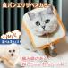  ветеринарный воротник кошка собака товары для домашних животных soft легкий подушка хлеб легкий маленький размер собака ... после рука ... царапина облизывание предотвращение симпатичный мягкость 