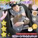 �V�[�g�x���g�N�b�V���� �V�[�g�x���g�J�o�[ �V�[�g�x���g�� �A�j�}�� ������� �L�b�Y �q�� �A�j�}�� �ԗp�i �J�[�p�i ���킢�� Y�^