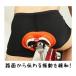 �T�C�N���p���c ���b�V�� �C���i�[�p���c �����Y ���]�� �T�C�N�����O ���[�h�o�C�N �N���X�o�C�N ����ɂ��� �Ռ��z�� ���K�̒ɂ݌y�� �֘A�摜1