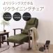 ���N���C�j���O�`�F�A �n�C�o�b�N �t�b�g���X�g ������� �i�`���������_�� �������� �|�P�b�g�R�C�� �֎q �C�X ���� �O���[��