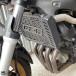 ¹͢ʡ Х 饸  С  ץƥ Protetor ޥ FZ6 ե FZ-6 FZ 6 ե 2007ǯ 2008ǯ 2009ǯ 2010ǯ 