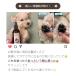 �� �A�g�s�[ ����� �΍� �A�g�y�b�g �t�R���W�[�G�b�Z���X 30mL �L �J�C�J�C �t�R�C�_�� ������ �ێ� ���Y�� �r�߂Ă����S �����P�A �֘A�摜5