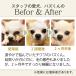 �� �L �܂₯ �N���[�i�[ �A�g�y�b�g �t�R���W�[ �i�~�_�P�A 80mL �t�R�C�_�� �A���J���d�� �r�߂Ă����S �ڂɓ����Ă��ɂ��Ȃ� ��e��80mL�V�o��I �֘A�摜3