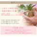 �y�䂤�p�P�b�g���������z�Ӓ����̐A���ւ��Ɂu���� 50g���v�A�ւ� �A������ �琬 [g-uekae03] �֘A�摜3