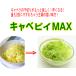 �L���x�s�B MAX �̂̂� �L���x�s�C�}�b�N�X �L���x�s�BMAX CBP-04G ��ނ��� ��؂� �L���x�c�X���C�T�[ �s�[���[ �J�b�^�[ TV�ŏЉ� P5�{ �֘A�摜4